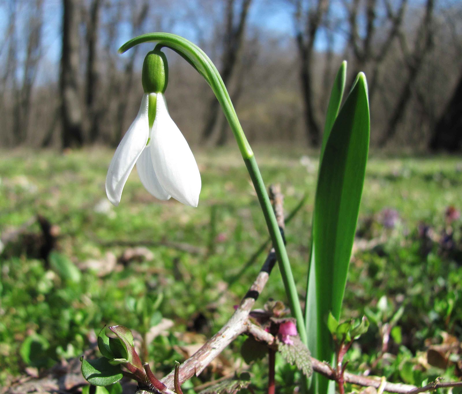 Temperaturile vor fi mai mari decat media acestei perioade
