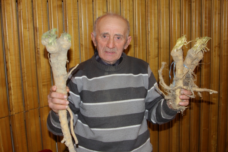 Agricultorul ne-a spus ca vrea sa infiinteze 