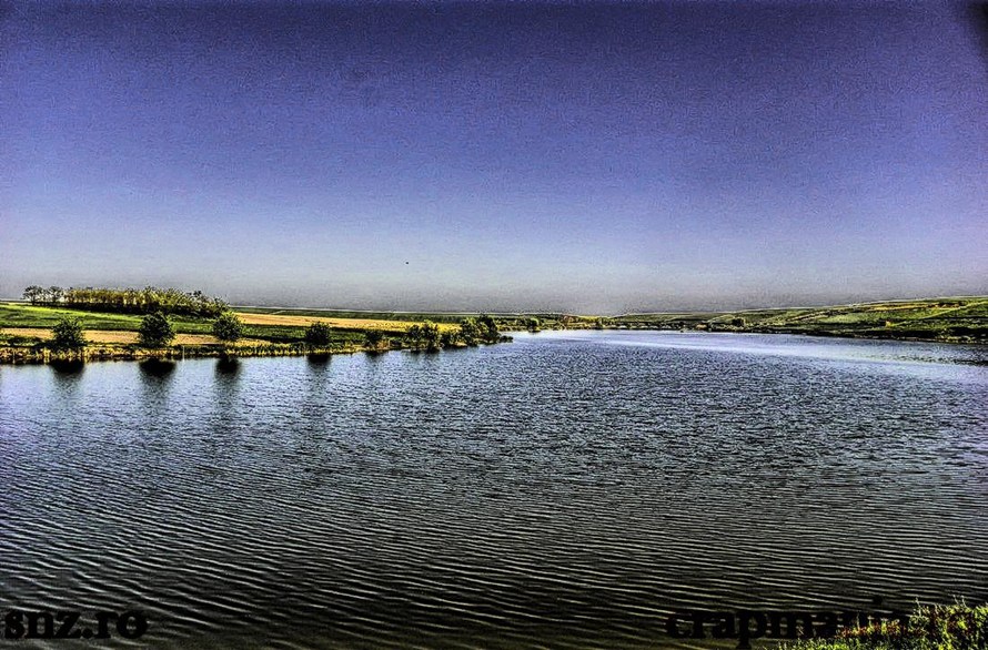 Vladut vrea sa transforme balta intr-un