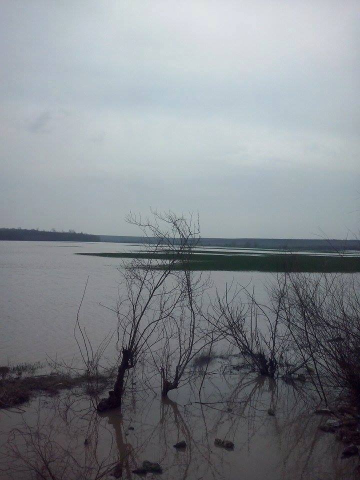 Campurile din zona comunei Singureni au fost inundate dupa ce raul Neajlov a iesit din matca
