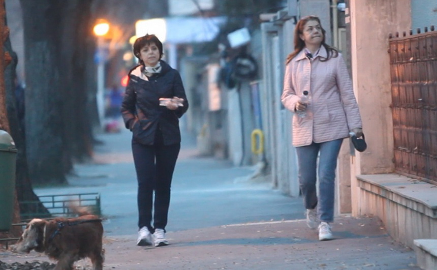 Cristiana Copos si-a facut plimbarea de seara in compania Mihaelei Geoana