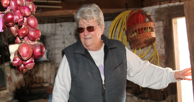 Mai multe persoane au cerut executarea silita a Ioanei Maria Vlas