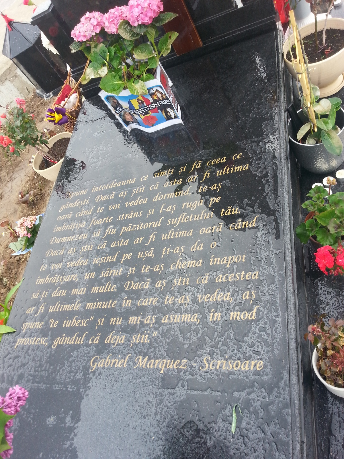 Pe placa funerara se afla un citat din opera regretatului scriitor Gabriel García Márquez