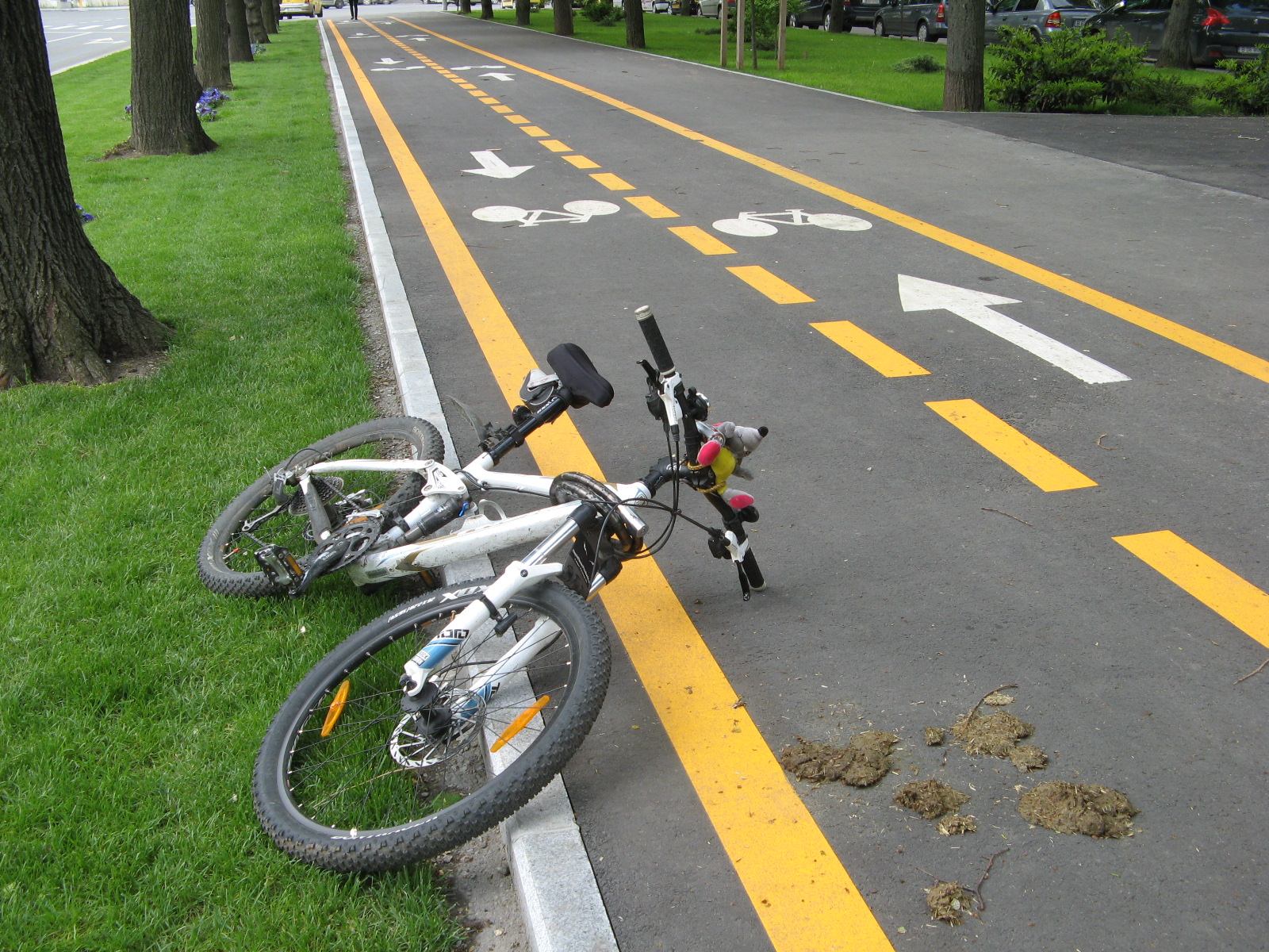 Primarul General, Sorin Oprescu a propus astazi, 29 aprilie 2014, Consiliului General al Municipiului Bucuresti proiectul de Hotarare privind includerea in Bugetul propriu al Municipiului Bucuresti pe anul 2014 a sumelor aprobate de Guvernul Romaniei pentru implementarea unui sistem de transport cu bicicleta