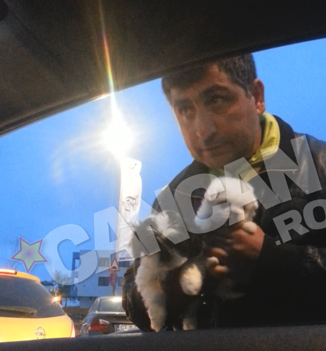 Barbatul vinde catei in fata unui club de fite din Mamaia