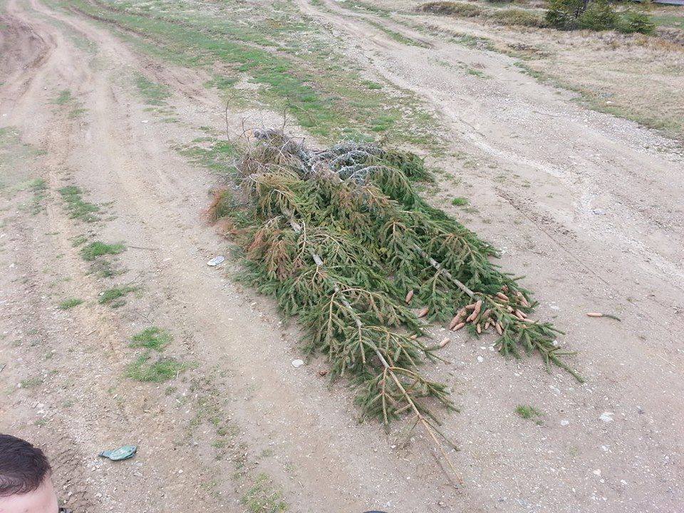 Brazii fotografiati de Mariana, sora Aurei Ion