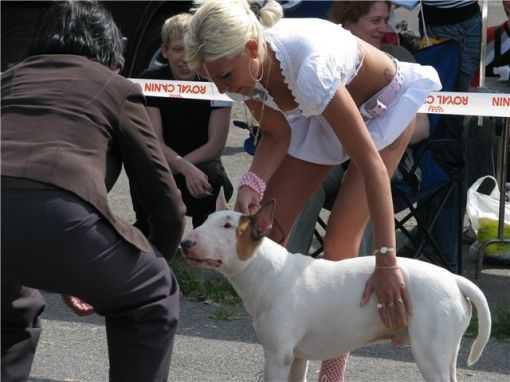 Blonda a facut ravagii in randul barbatilor prezenti la concurs