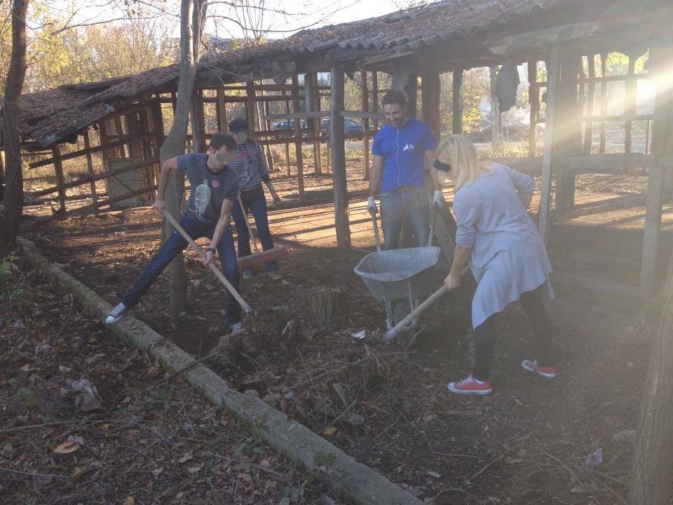 Tudor nu se sfieste sa puna osul la treaba