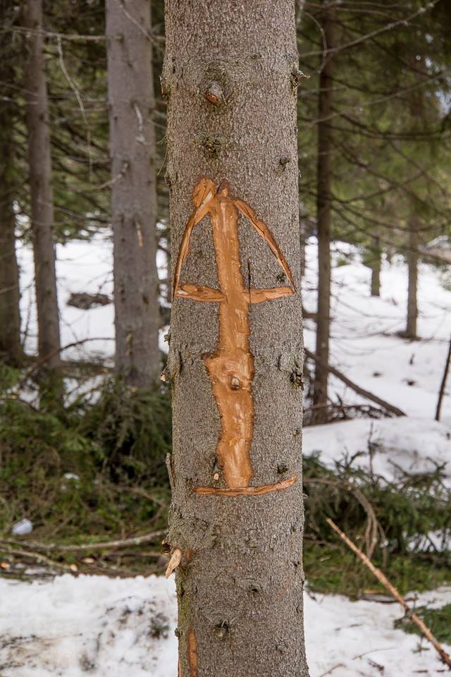 Romanita nu ezita sa il numeasca pe tatal copilului sau 