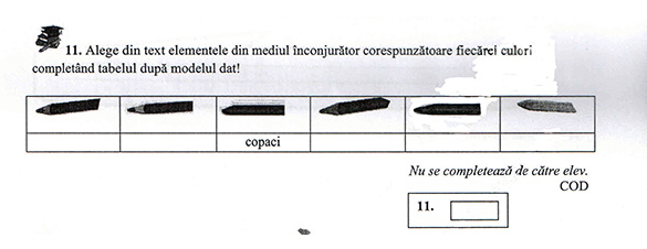 Aceasta este prima varianta a subiectelor, cea gresita