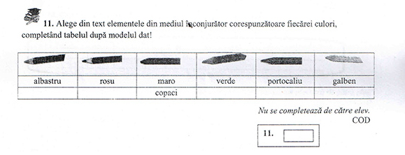 Pana la urma, subiectele au fost corectate