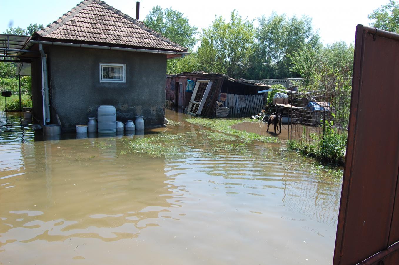Codul galben de ploi se intinde pe durata acestui weekend