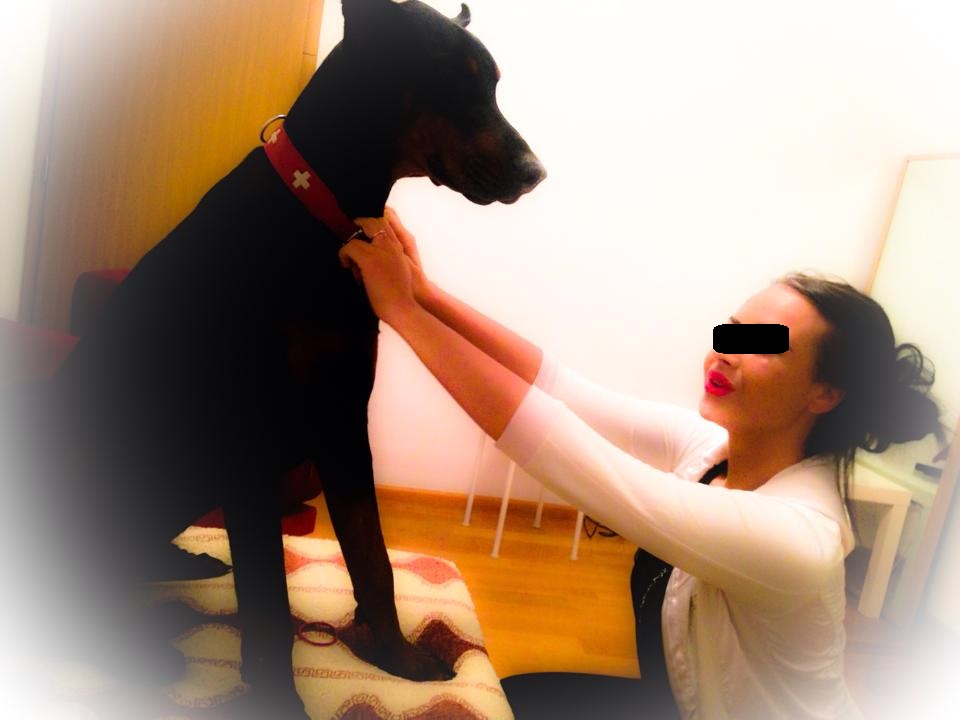 Chiar daca patrupedul este extrem de rau, prin prisma rasei, Oana a reusit sa il imblanzeasca