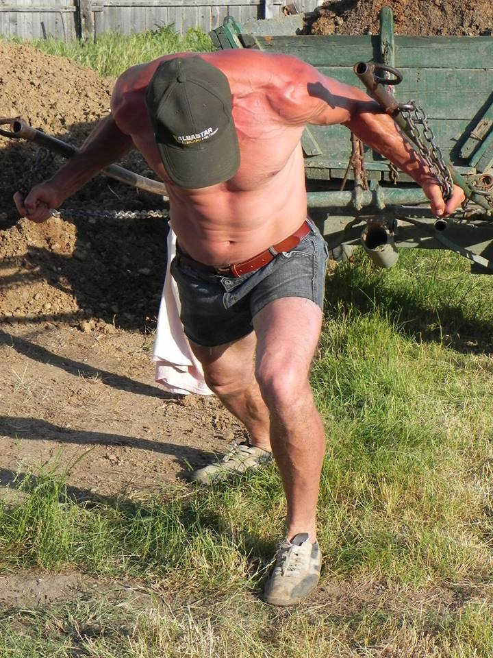 Iulian Stroe s-a inhamat in locul calului la caruta