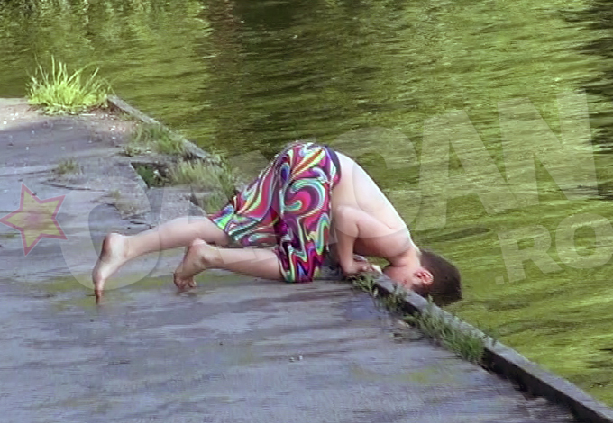 Pustiul si-a bagat capul adanc in apa, pentru a se racori