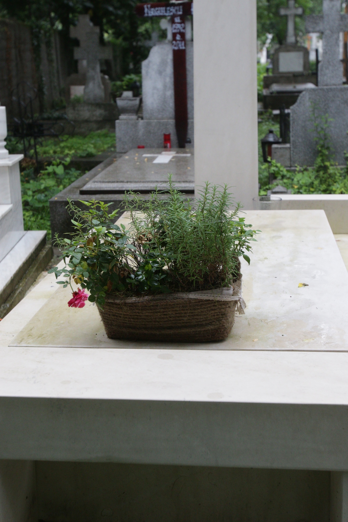 Florile de pe monumentul funerar al artistului mai au putin si se ofilesc