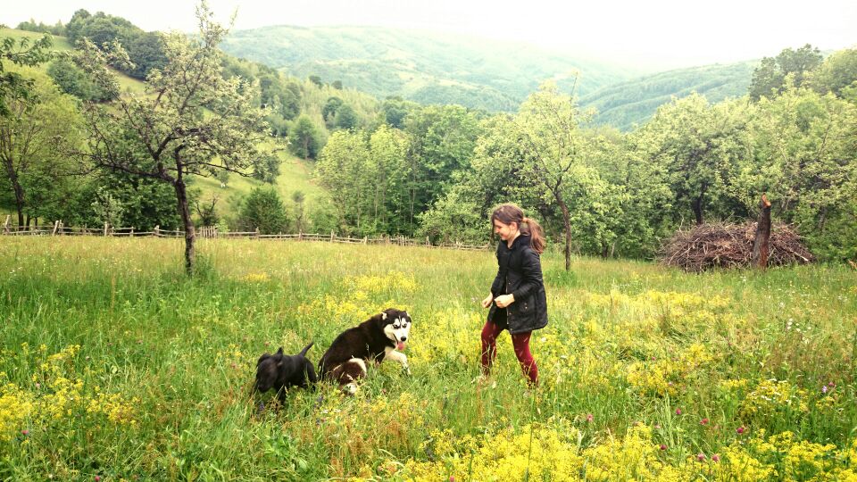 El a cumparat recent un hectar de teren