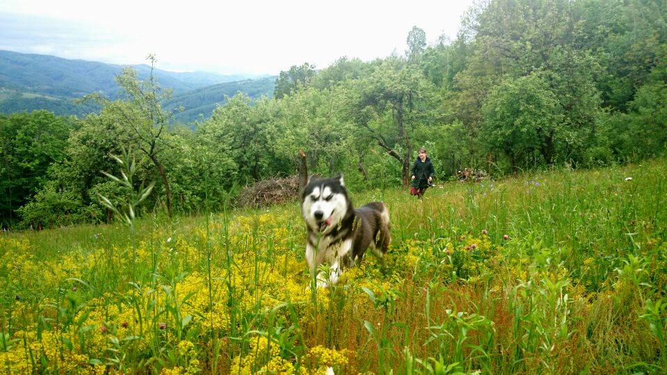 Fiica sa este foarte incantata de domeniul cumparat