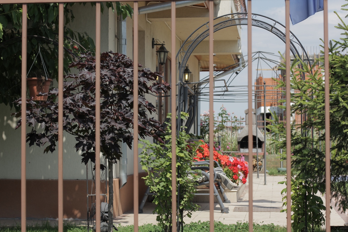 Florile din curte sunt mai frumoase si ingrijite