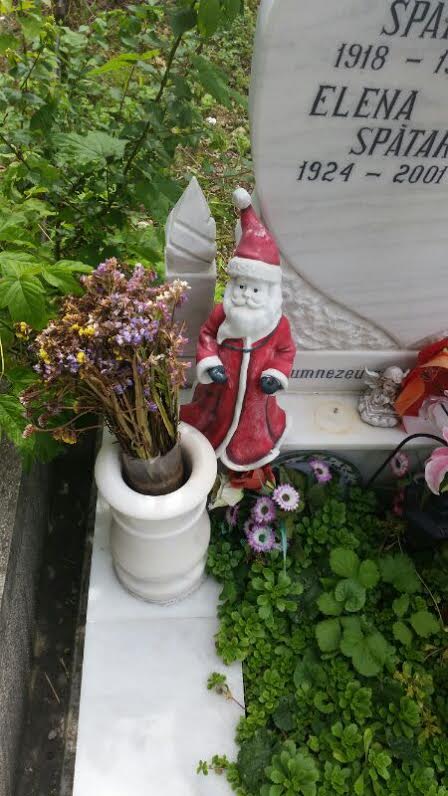 Malina si-a pus capat zilelor pe 12 decembrie 2011