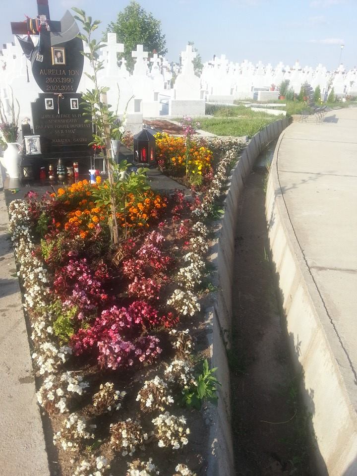 Locul unde tanara studenta la medicina isi doarme somnul cel de veci este inconjurat de zeci de flori