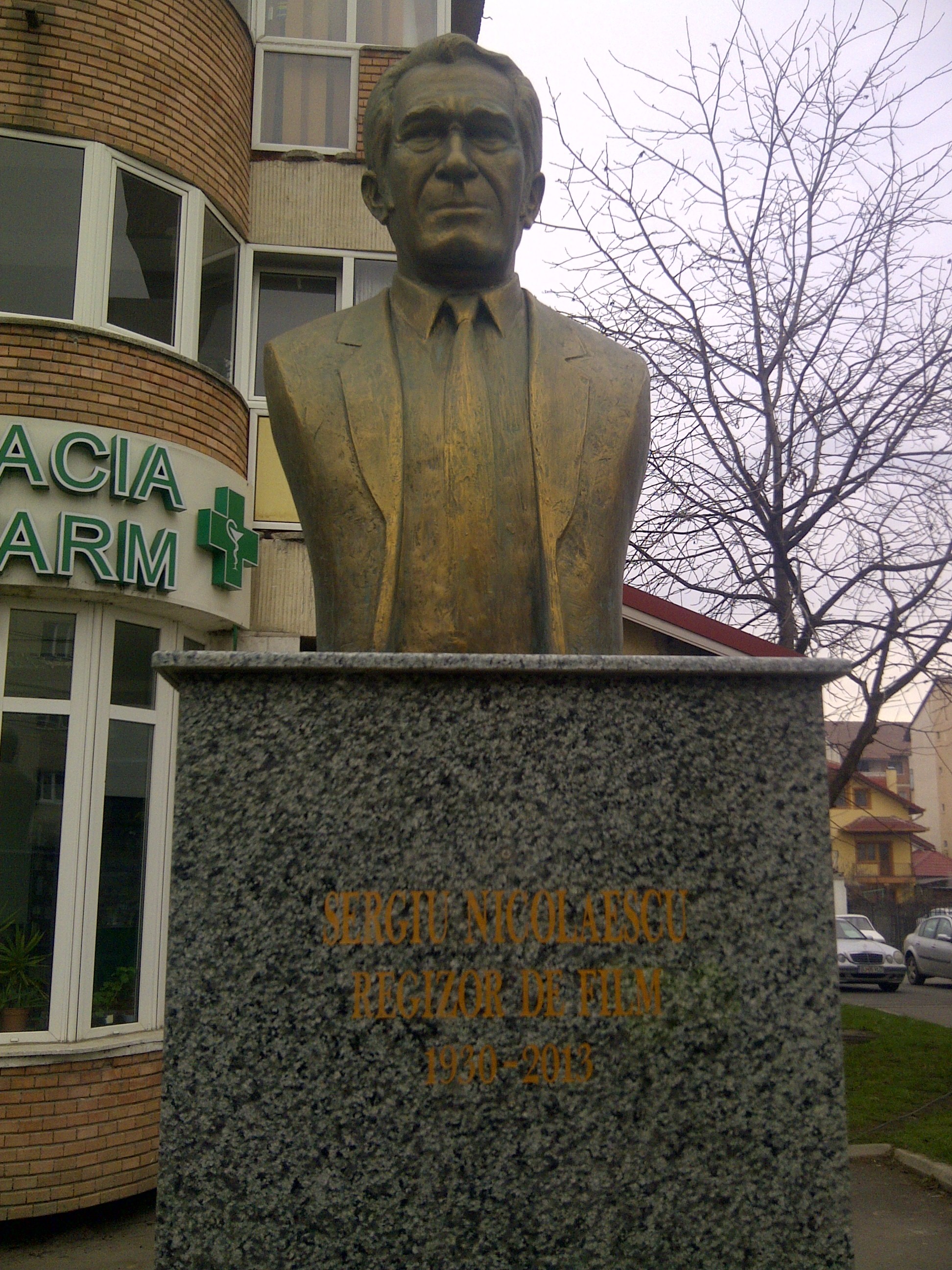 Un barbat in varsta de 43 de ani a fost prins in timp ce facea sex langa bustul lui Sergiu Nicolaescu