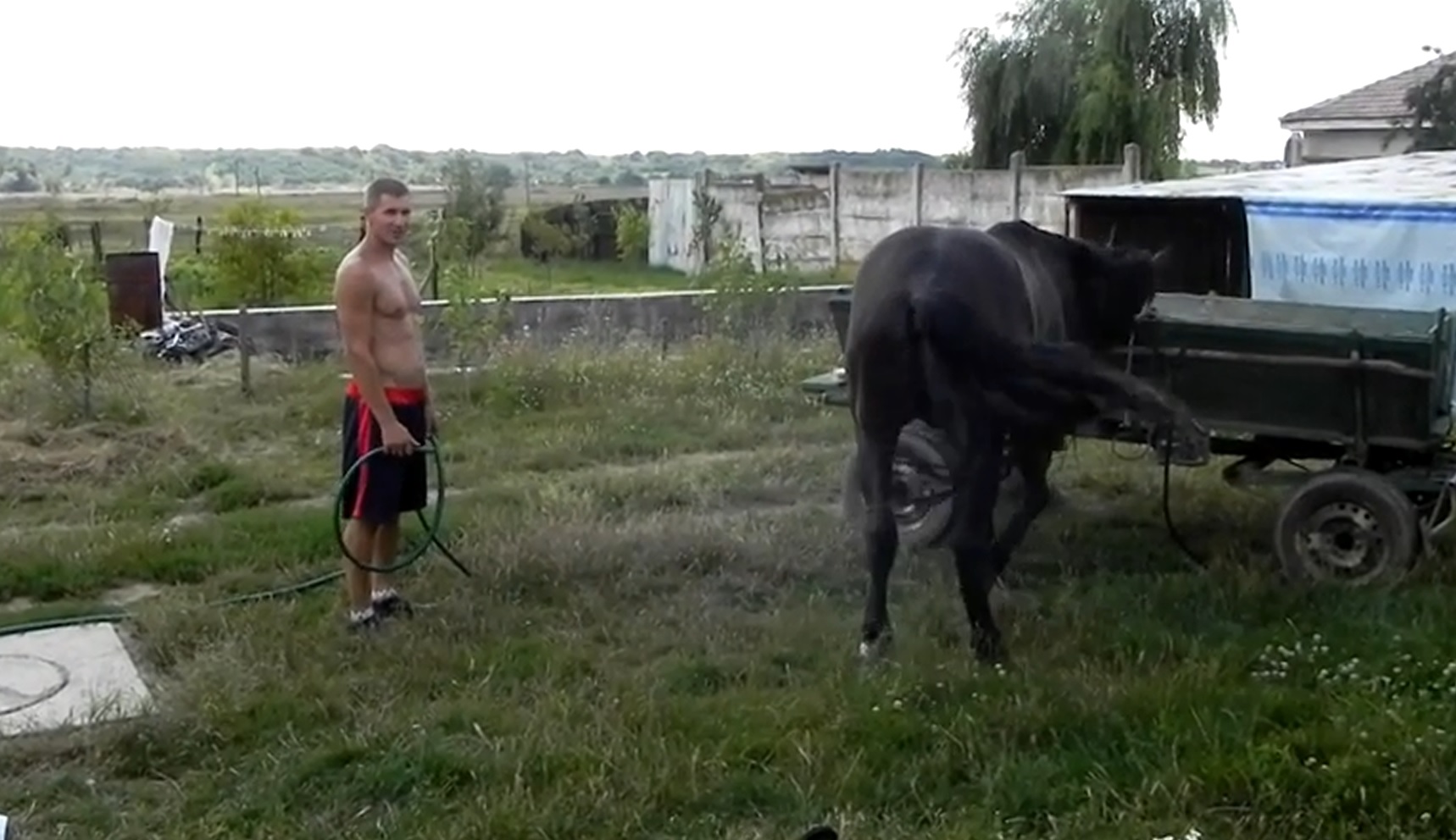 Iulian Stroe isi face curaj sa se apuce de spalat calul