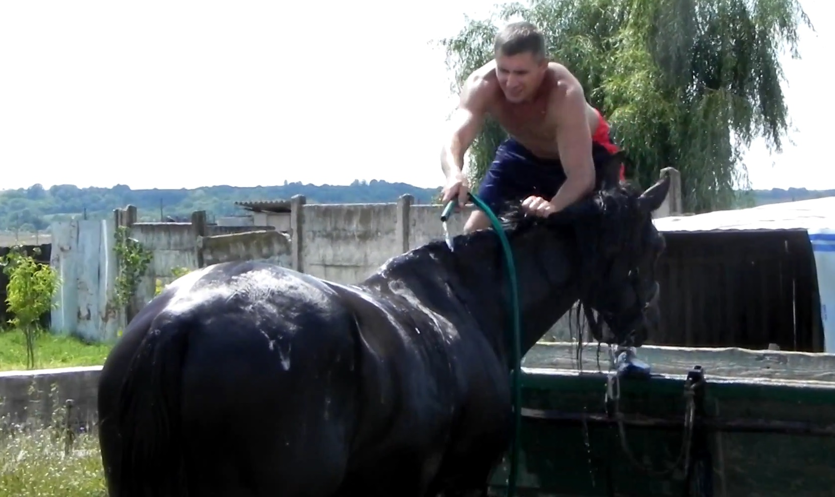 Dupa ce l-a samponat bine a urmat clatirea