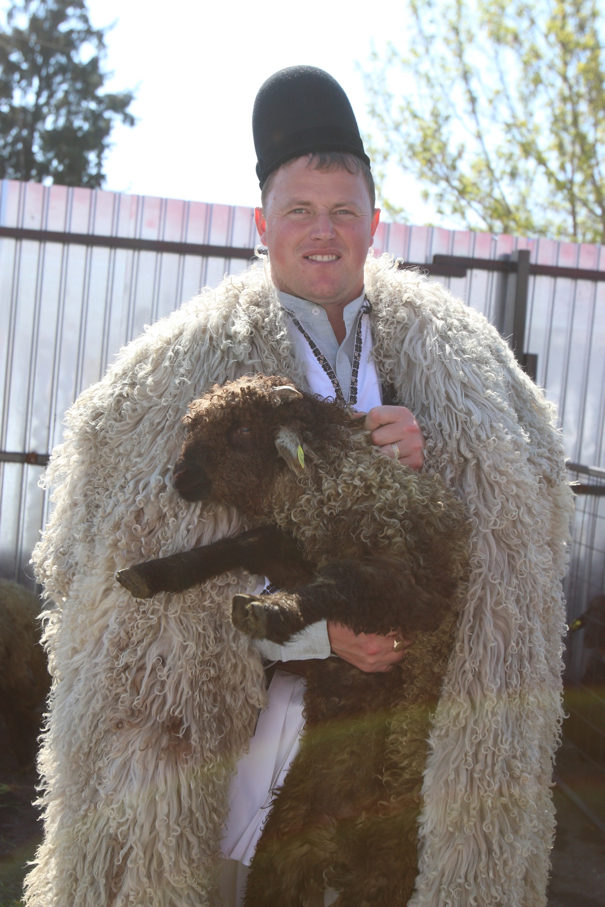 Ghita Ciobanul a pierdut patru oi din turma sa