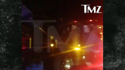 Unul dintre cei doi hoti, care au furat bucati din masina lui Paul Walker, a fost condamnat la sase luni de inchisoare