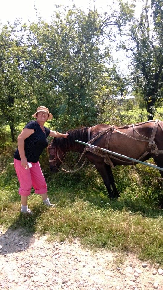 Doamna Munteanu, cu calul la camp