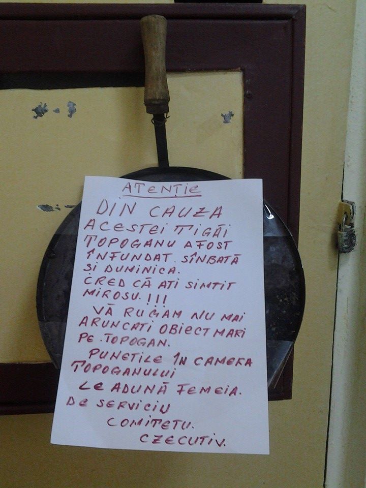 Mesajul comitetului executiv este plin de greseli gramaticale