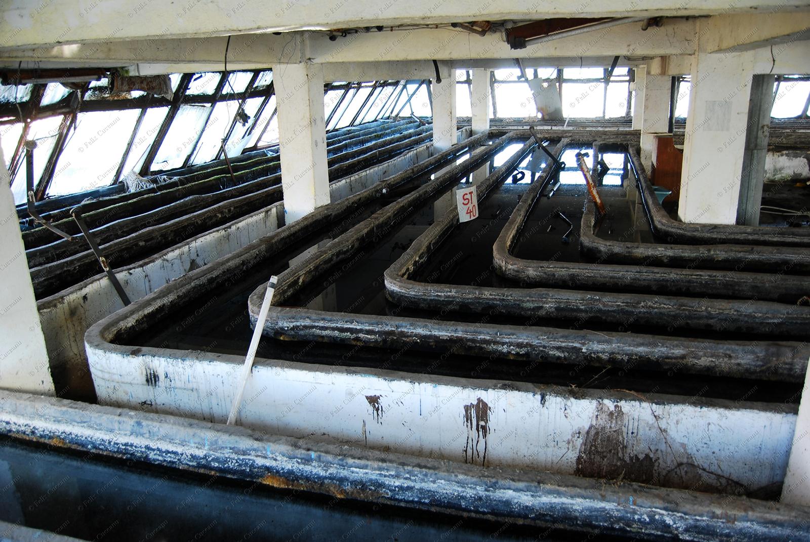 In interiorul piramidei s-au facut numeroase experimente