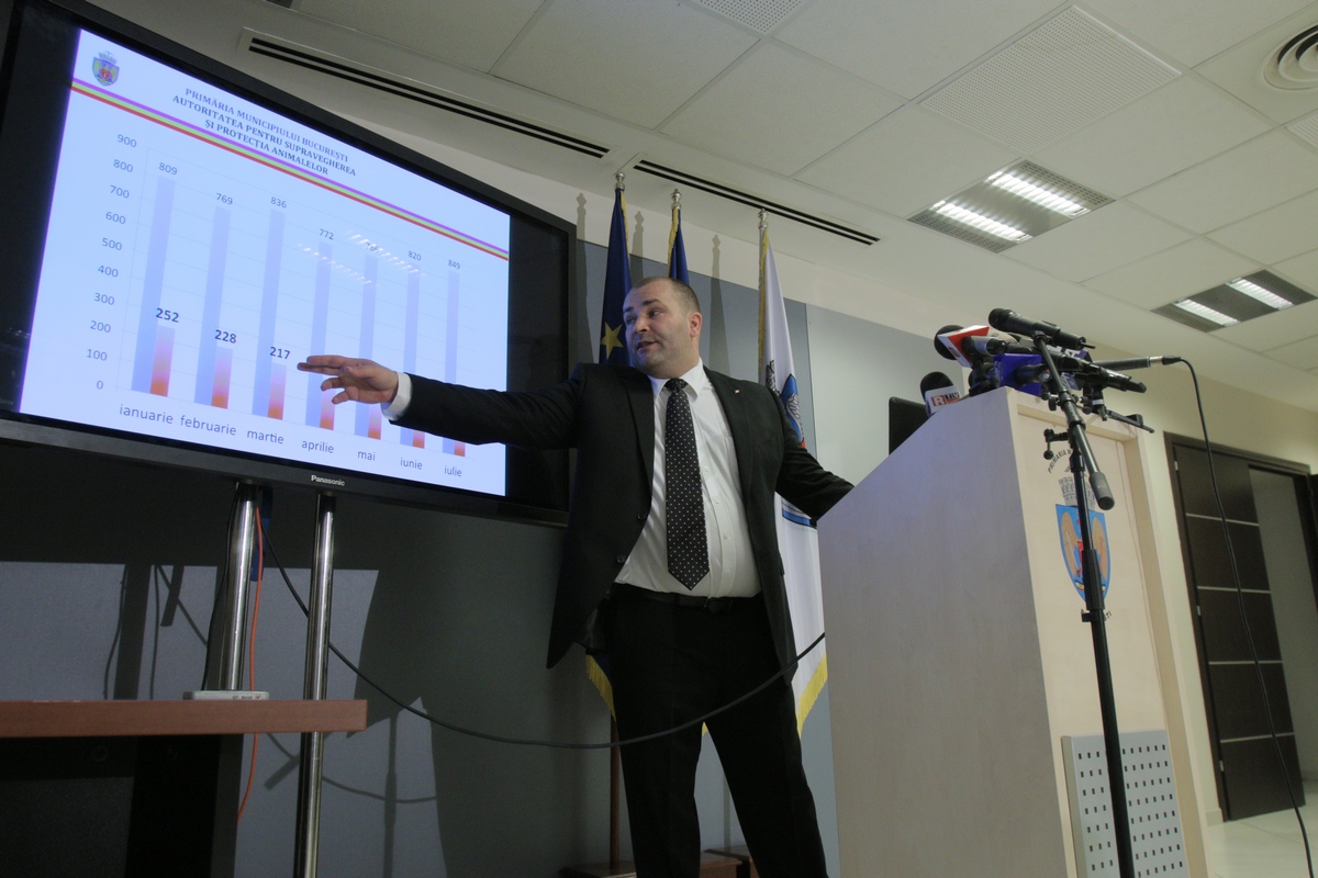 Razvan Bancescu a scpus ca numarul muscaturilor din Capitala a scazut cu 84 la suta