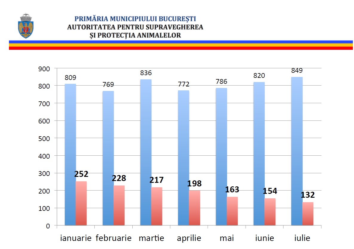 Numarul bucurestenilor muscati a scazut de la luna la luna