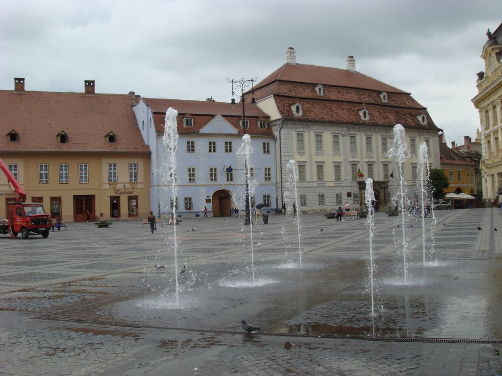 Sibiu