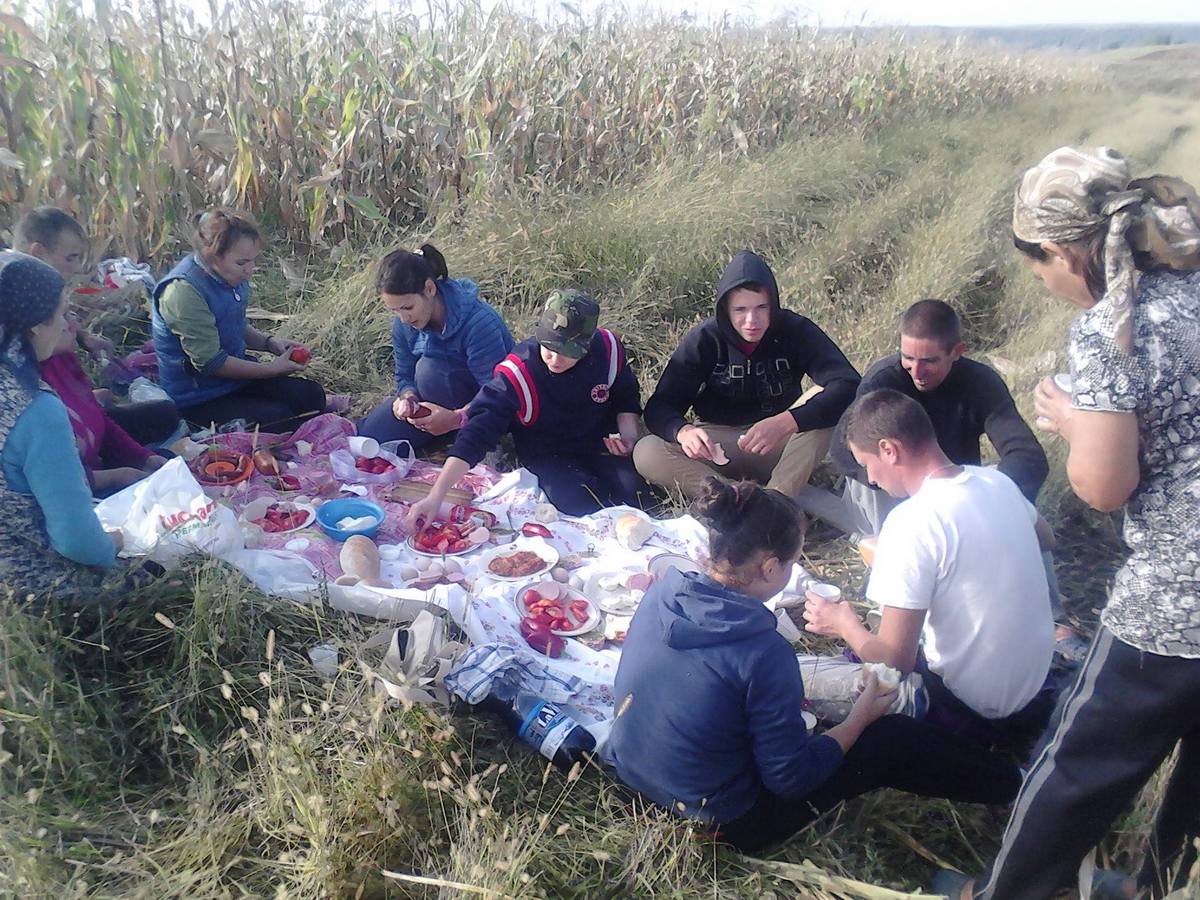 Inainte sa se apuce de treaba muncitorii s-au delectat cu o masa campeneasca
