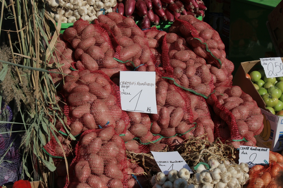 Cartofii sunt la un leu kilogramul