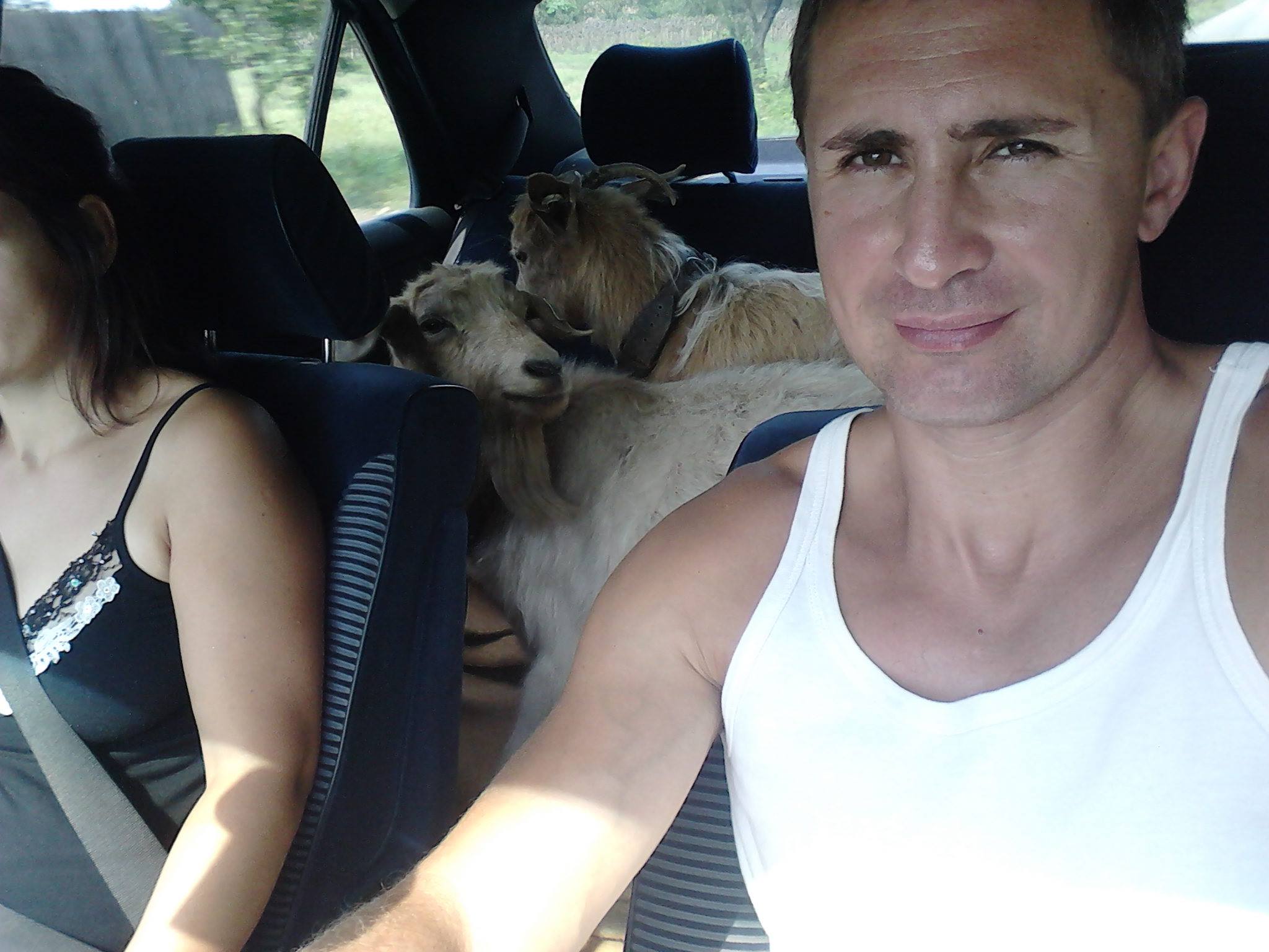 Iulian Stroe a scos caprele la plimbare cu Mercedesul