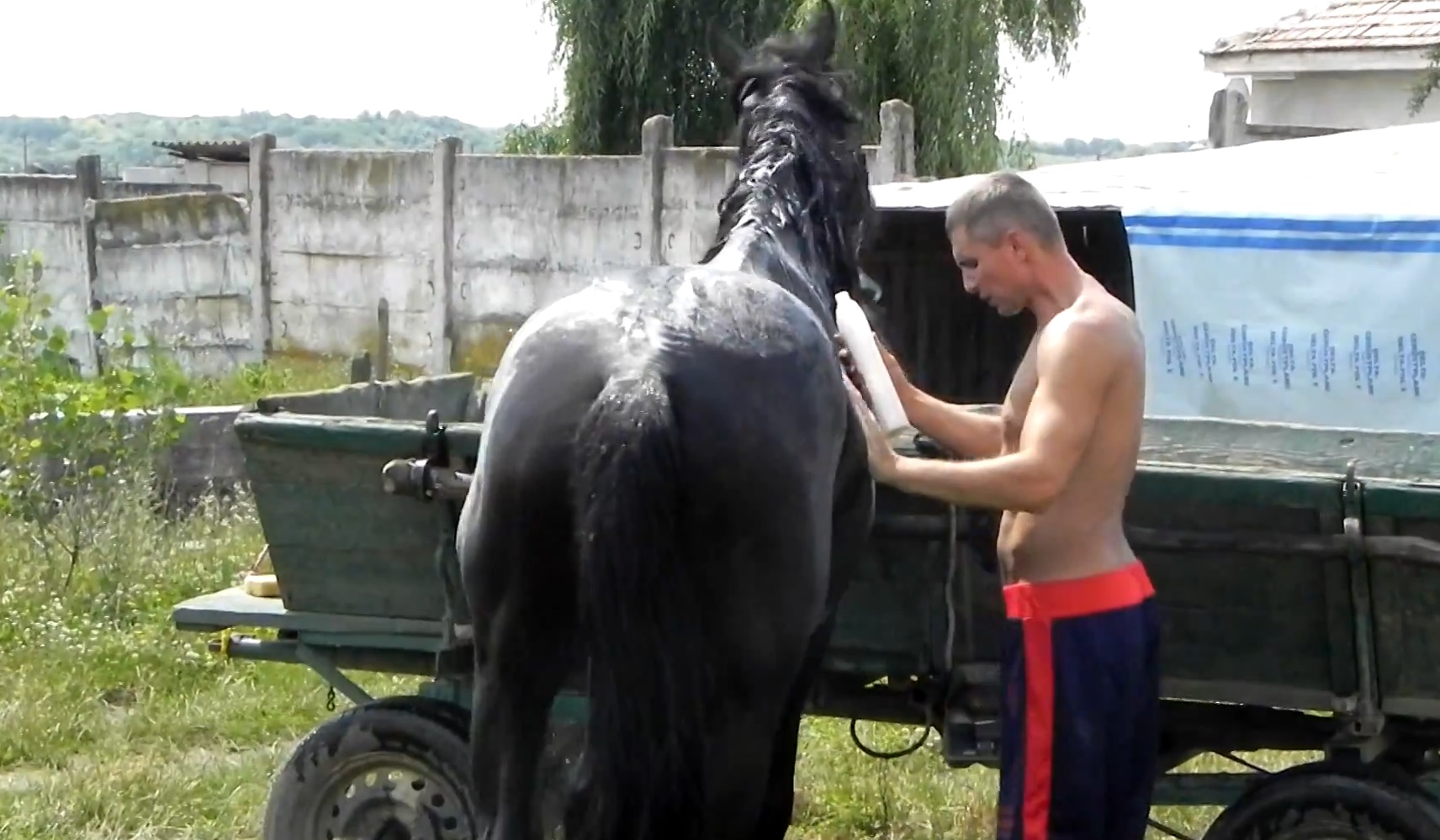 Iulian a fost ranit in urma cu ceva timp de armasarul negru al familiei