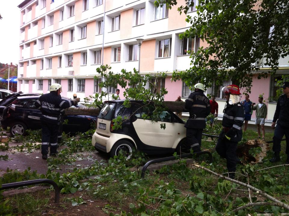 Din cauza vantului, mai multi copaci au fost pusi la pamant, distrugand mai multe masini