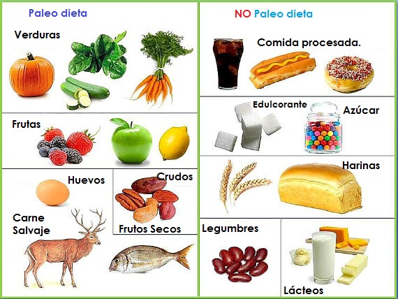 dieta
