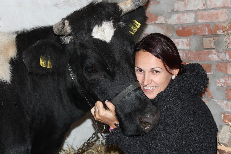 Pustii familiei Stroe beau lapte numai de la vaca din ograda