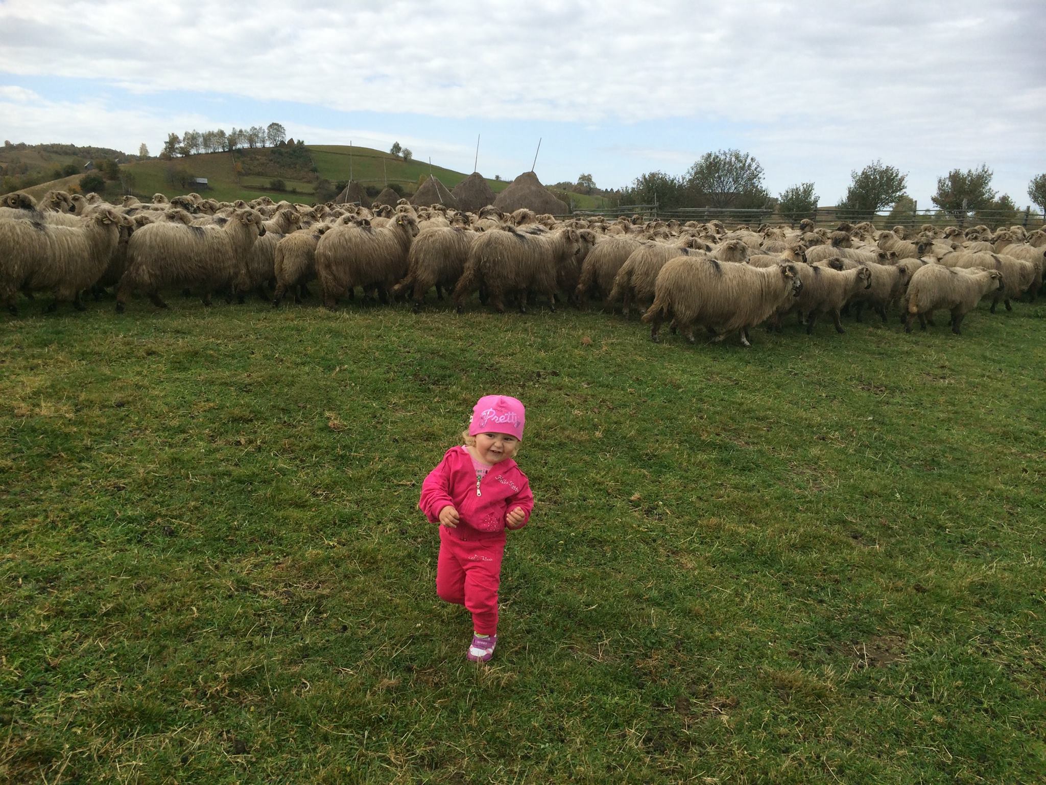 Georgi a inceput deja sa isi ajute tatal la munca