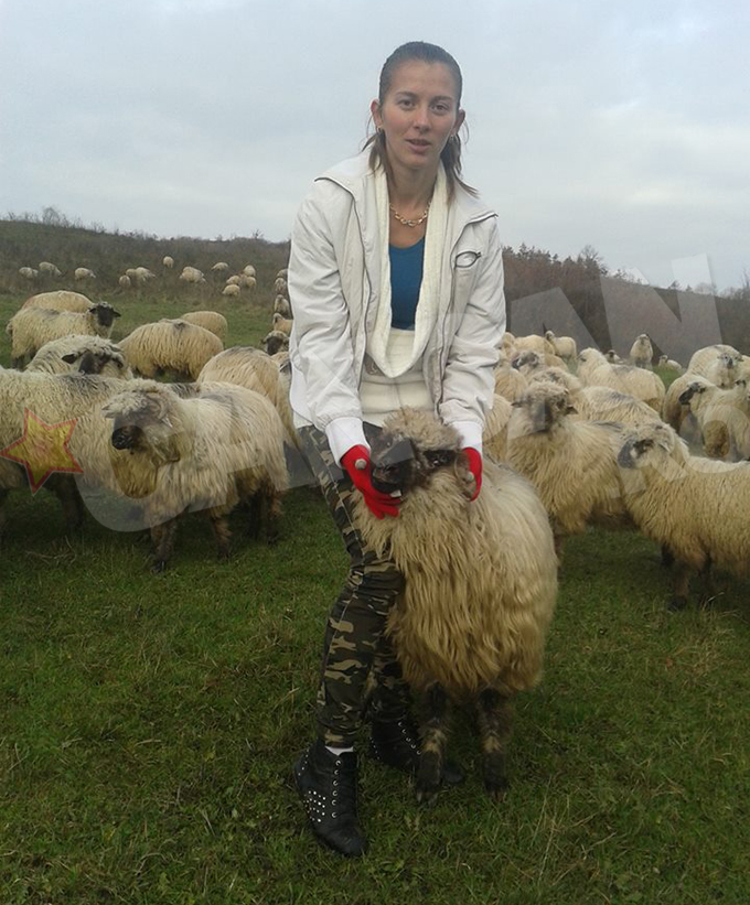 Sotia lui Ghita Ciobanul se duce cu oile si acum, chiar daca este insarcinata in opt luni