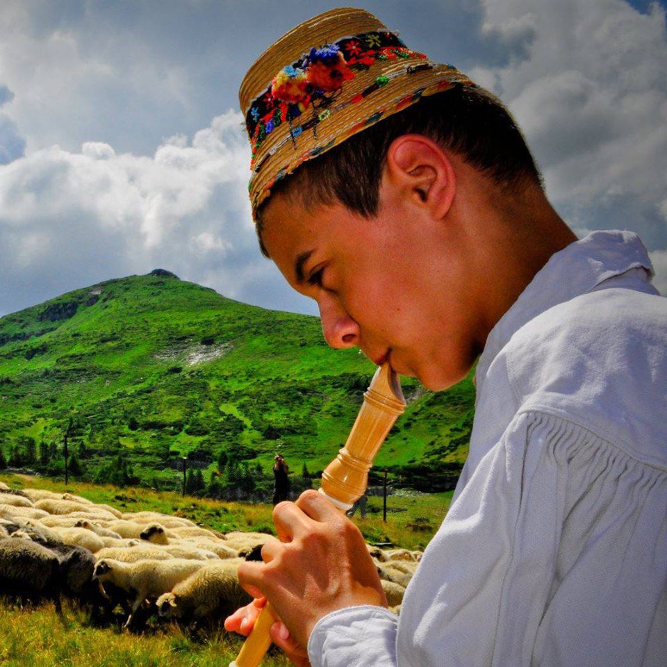 Copiii familiei gavrila