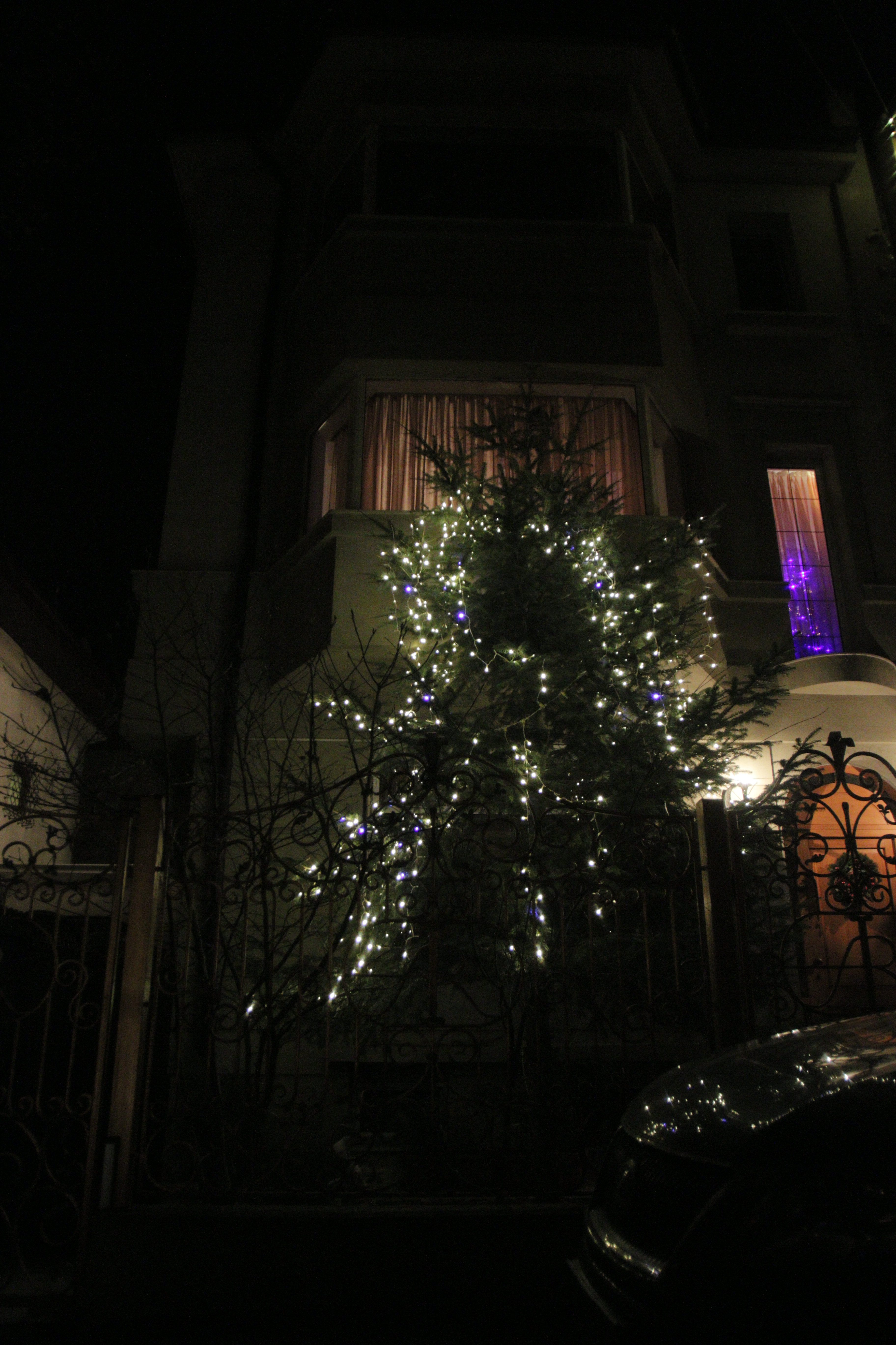 Romanita impodobeste in fiecare an bradul din fata casei