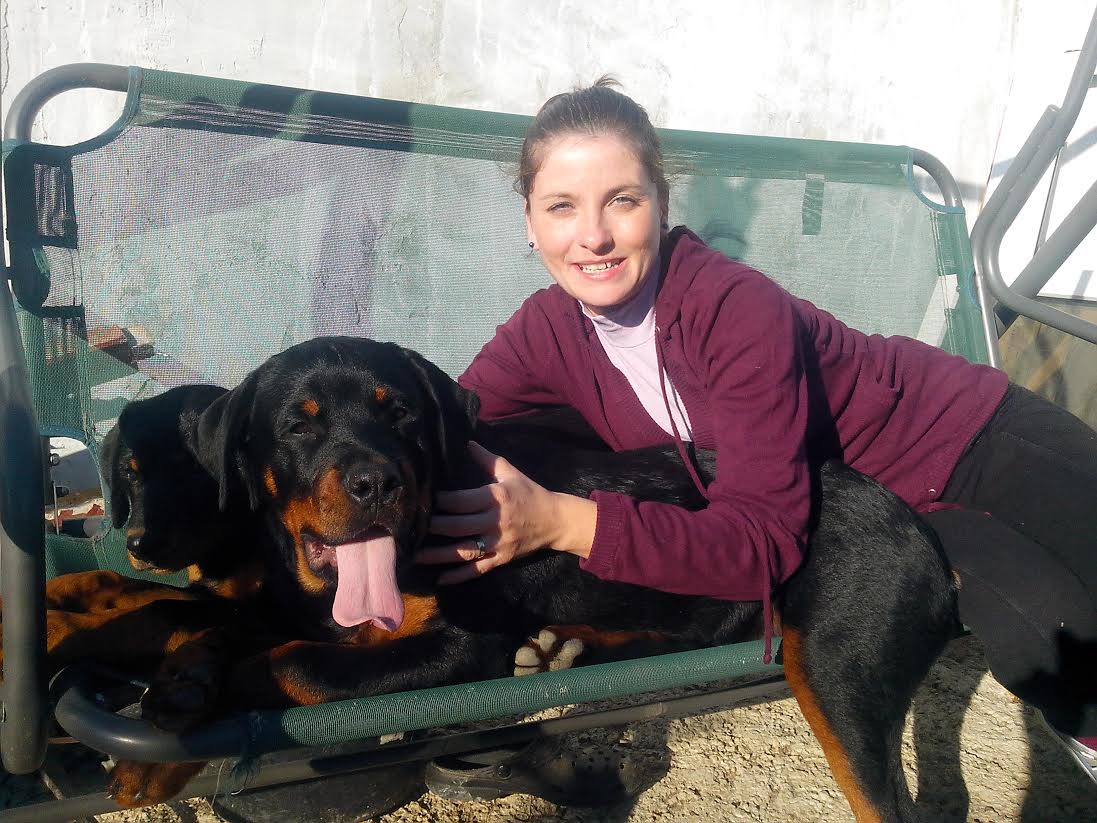 Catelul a ajuns din nou in bratele stapanei sale