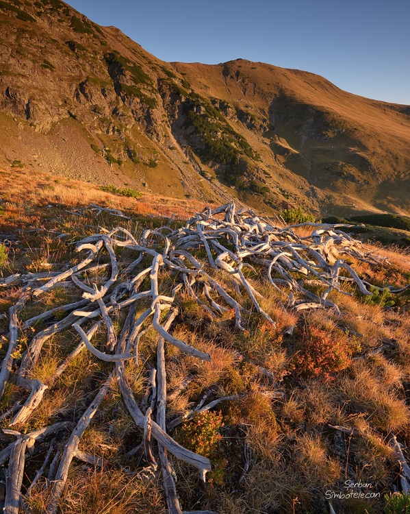 Peisaj superb in Masivul Godeanu