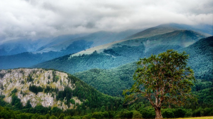 Situatii stranii au atras cercetatorii fenomenelor paranormale